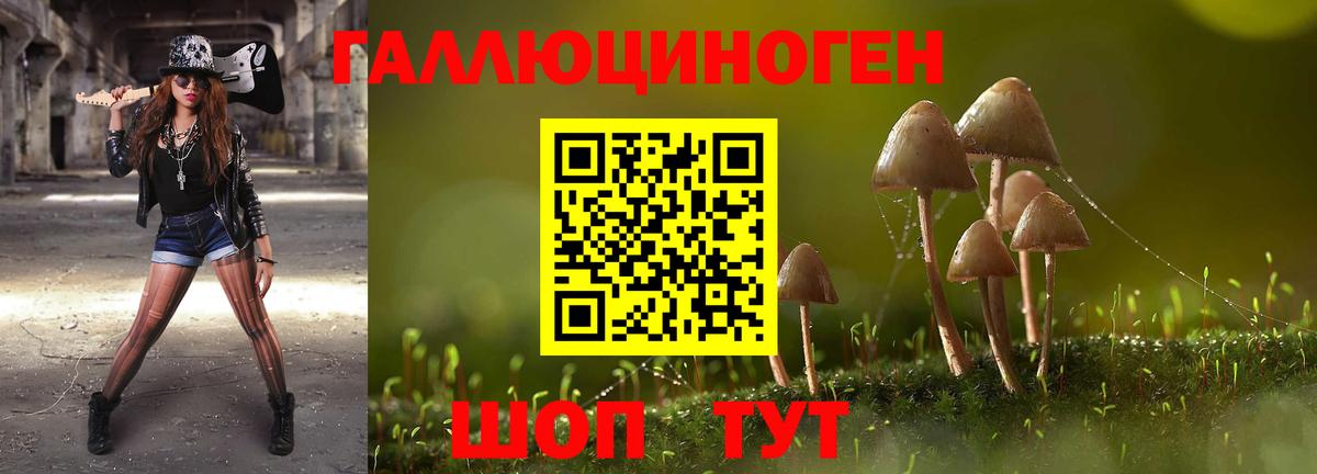 Сальск  дарнет шоп  Вход с VPN  Псилоцибиновые грибы Cubensis 